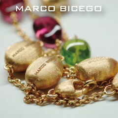 MARCO BICEGO マルコ・ビチェゴ